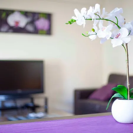 Carina's By Real Life Concierge Apartmán Alvor